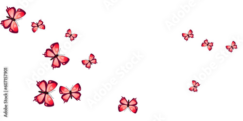 Fairy red butterflies isolated vector illustration. Summer pretty moths. Decorative butterflies isolated fantasy background. Tender wings insects patten. Fragile beings.