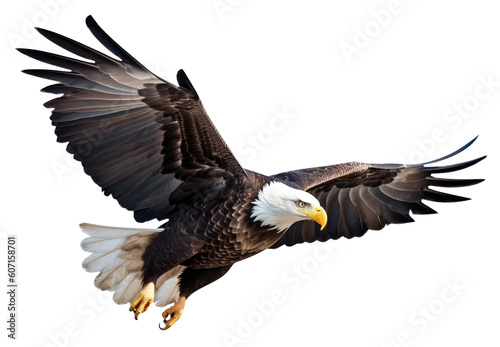 Bald Eagle Flying Isolated on Transparent Background - Generative AI  © RenZen