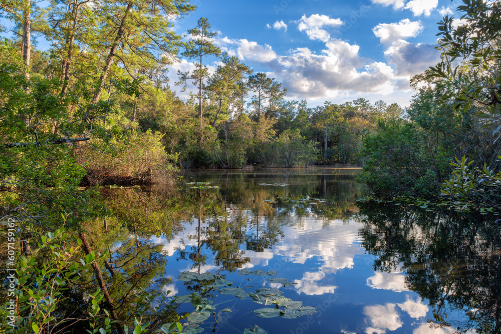 Tropical lake surrounded by tropical trees at sunset in Wekiwa Springs State Park, Florida