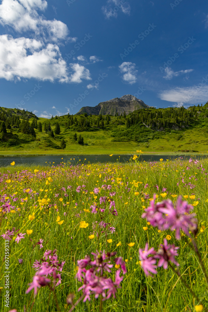 Landscapes near Kalbelesee, Hochtann Mountain Pass, Warth, Vorarlberg, Austria