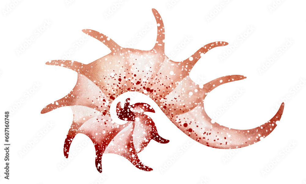 Set of Seashells on isolated white background, watercolor illustration, sea clipart Set of Seashells on isolated white background, watercolor illustration, sea clipart