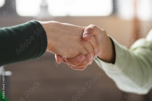 Close up of handshake of businesspeople. Business women shaking hands making a deal in the office