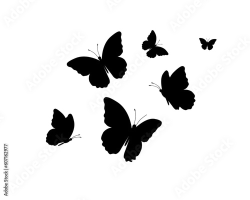 drawing butterfly handdrawn
