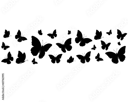 drawing butterfly handdrawn