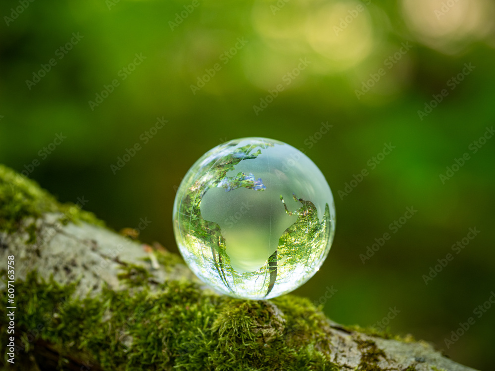 glass earth globe in the forest glass earth globe in the forest