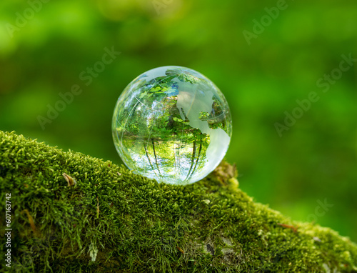 glass earth globe in the forest