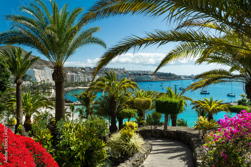 View of a beautiful public garden with tropical palm trees and red flowers above the blue Atlantic Ocean coast in Las Palmas, Spain