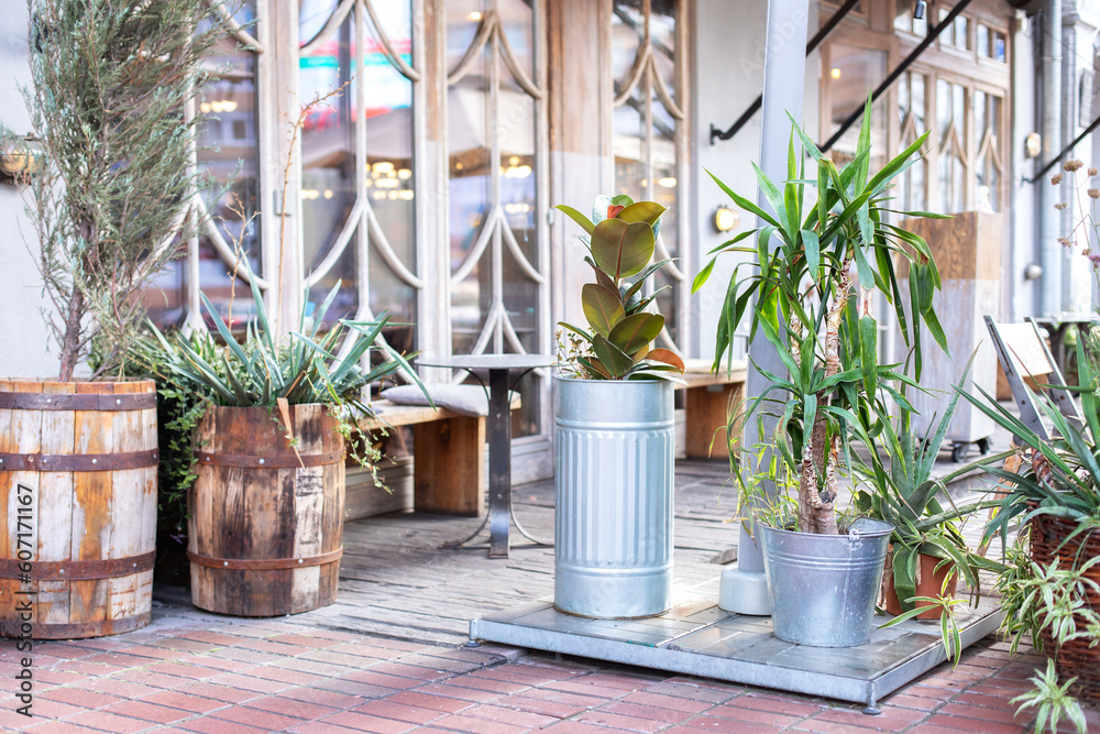 Green plants and flowers in wood barrels and pots. Outdoor terrace or street cafe, bar or restaurant decorated with green plant pots with plants. Cozy outdoor terrace with green plants and flowers	