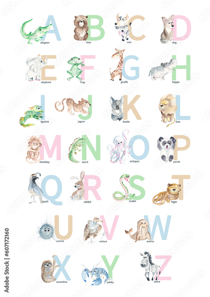 Watercolor hand drawn cute latin animal alphabet. Baby animals with ABC symbols isolated on white background. Can be used as print poster, baby wallart, for baby shower, kids learning English