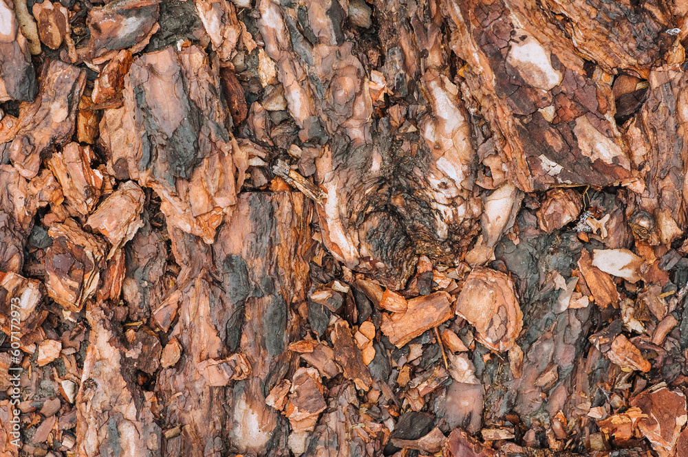 Background, texture of pieces of brown wet after rain coniferous, spruce bark. Photo of nature, top view, close-up.