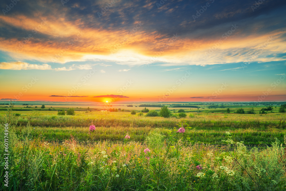 Beautiful rural sunset over wild grass in a countryside