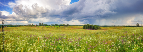 Panoramic view on rural landscape at summer day