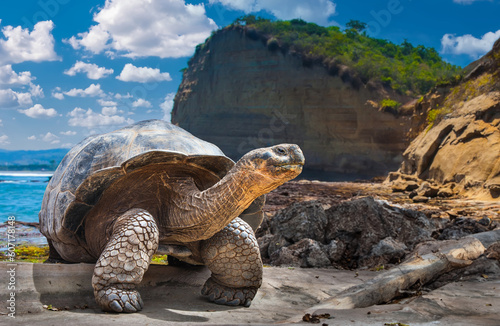 Galapagos Islands. Galapago...