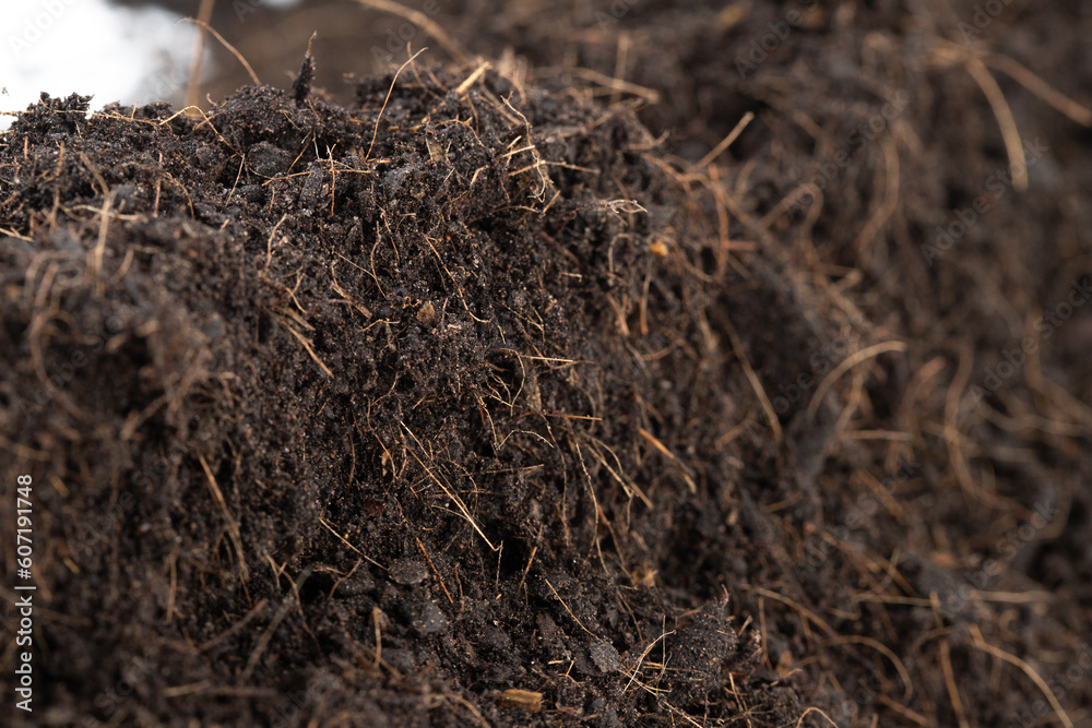 Black Fertilize Soil ready to planting, good organic soils with root for garden farming, pile set texture detail of soil with roots dust dirty.  close up selective focus over White background Isolated