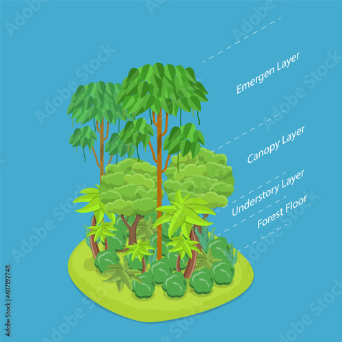 3D Isometric Flat Vector Conceptual Illustration of Rainforest Layers, Dense Tropical Jungle
