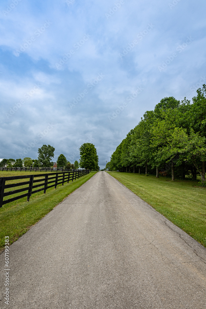 Path in rural Kentucky dividing line of trees from a fence of a horse farm