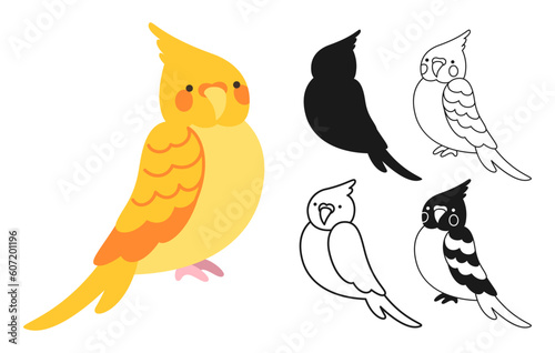 Parrot tropical cartoon set. Exotic bright nymph or cockatiel parrots sitting silhouette, outline sign or engraved childish collection. Wildlife jungle Hawaiian cute bird, funny vivid character vector