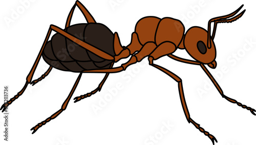 Insect Ant Illustration Vector