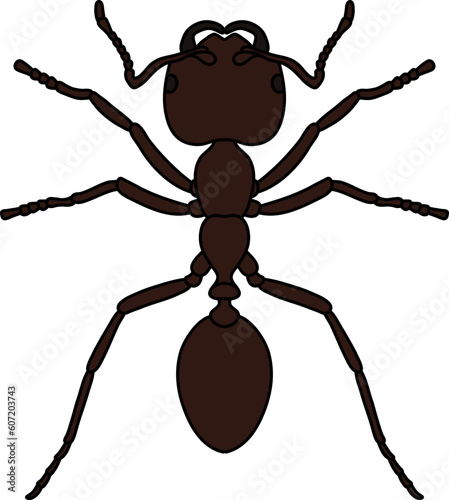 Black Ant Illustration Vector