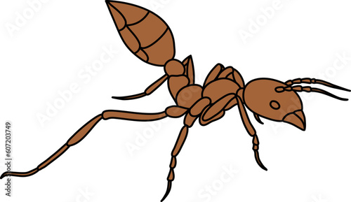 Bug Ant Illustration Vector