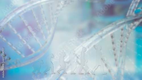 The Human evolution on DNA background 3d rendering