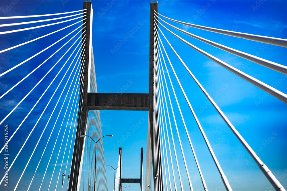 Obraz premium bridge over the river