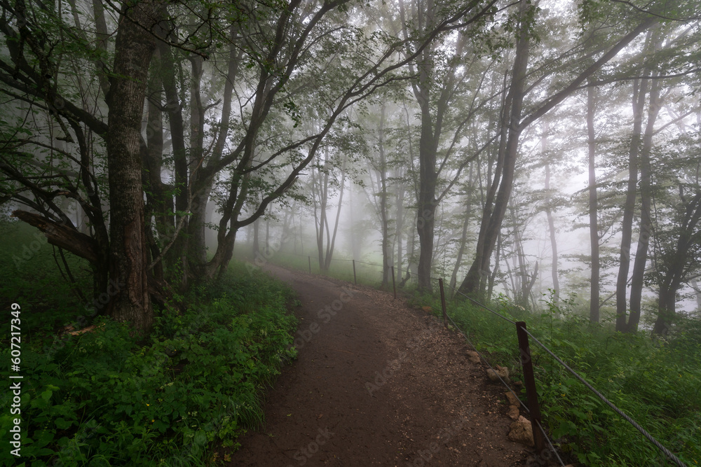 Obraz premium View of the ecological trail at the top of the Una-koz ridge of the Caucasus Mountains on a summer day in low cloud conditions, Dakhovskaya, Republic of Adygea, Russia