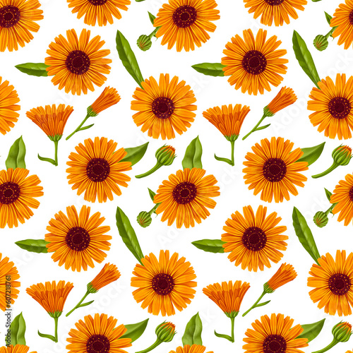 seamless pattern with drawing realistic orange calendula flowers and buds at at white background, hand drawn illustration,floral ornament © cat_arch_angel