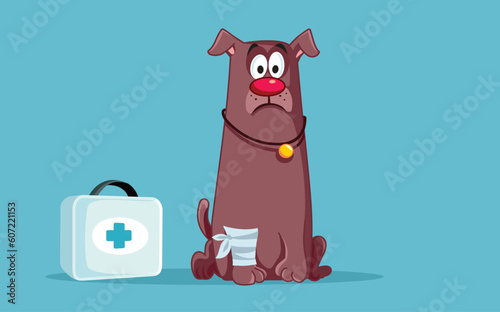 Injured Dog with Broken Leg Vector Cartoon Illustration. Domestic animal having an accident in need of treatment 
