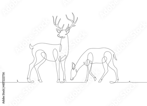 Deer line art icon. A pair of deer continuous line drawing. Deer one line draw graphic vector. Vector illustration