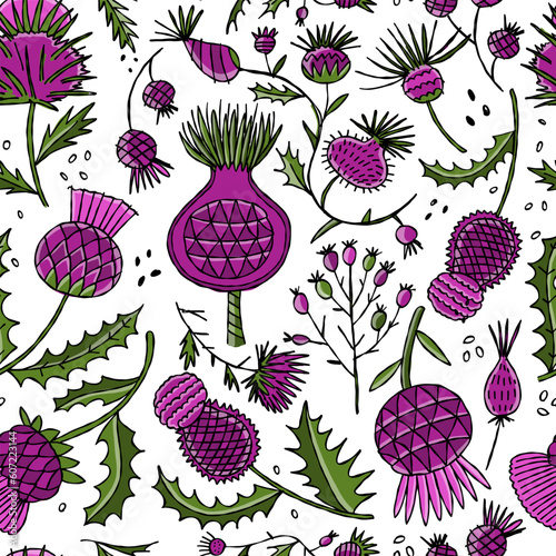 Milk Thistle flowers. Silymarin. Vector botanical illustration. Seamless patt...