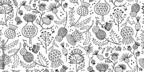 Milk Thistle flowers. Silymarin. Vector botanical illustration. Seamless pattern for your design
