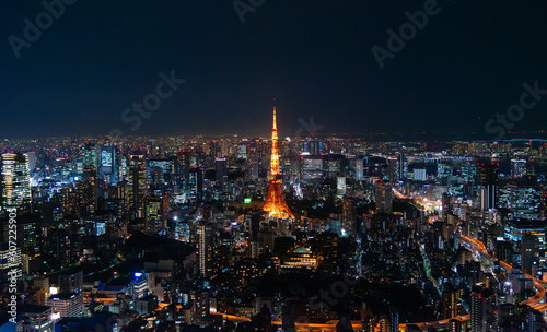 Photography tourist attractions in the city park of Tokyo, Asia business concept image, panoramic modern cityscape building in Japan