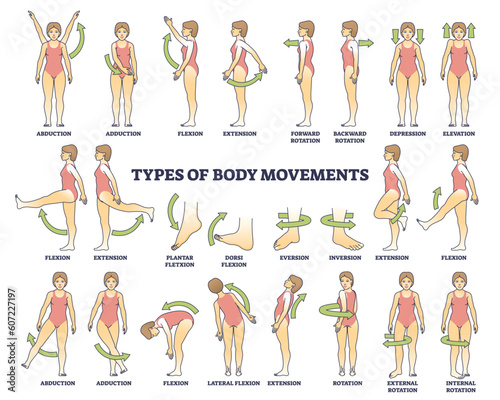 Foto Body movement types with medical physical motion explanation outline diagram