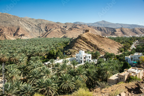 An oasis of date palms, Birkat al Mouz, Oman photo