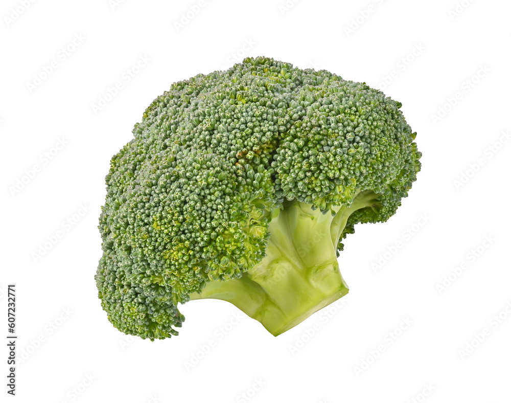 Green Broccoli isolated on white background Green Broccoli isolated on white background