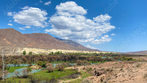 View of an amazing mountain valley. The stream runs through the trees in the park. Blue sky and white clouds. Beautiful summer landscape.