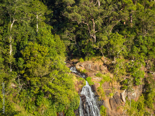 Fototapeta Naklejka Na Ścianę i Meble -  Rainforest Waterfall