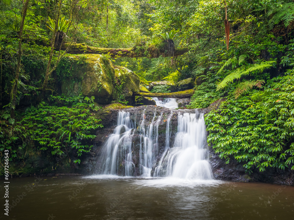 Rainforest Waterfall