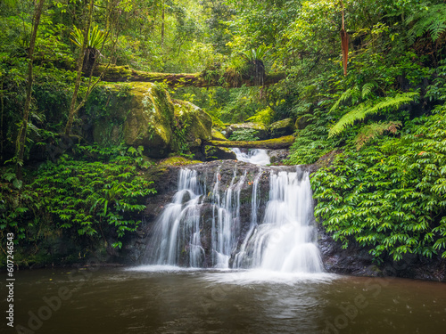 Fototapeta Naklejka Na Ścianę i Meble -  Rainforest Waterfall