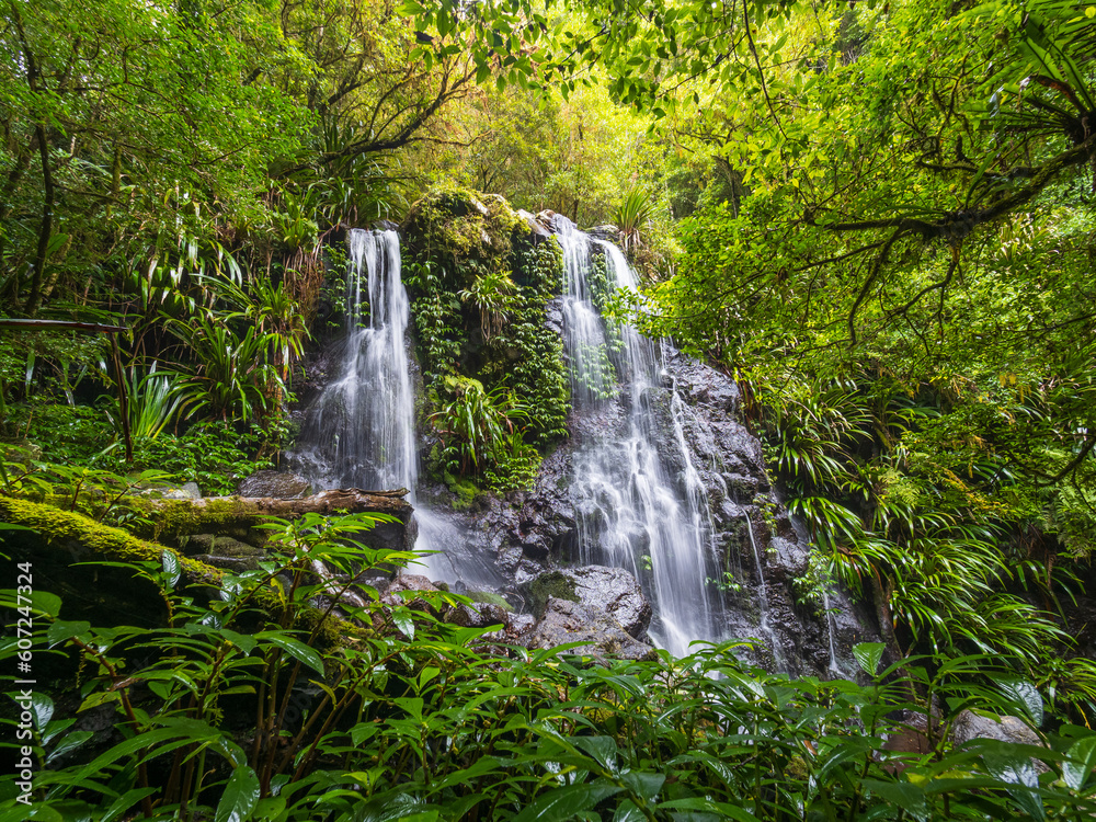 Rainforest Waterfall