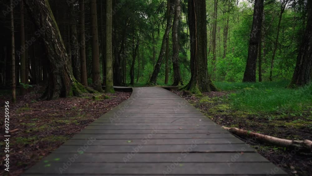 Person Walking On Rural Wooden Pathway In Heart Of Green Forest Person Walking On Rural Wooden Pathway In Heart Of Green Forest