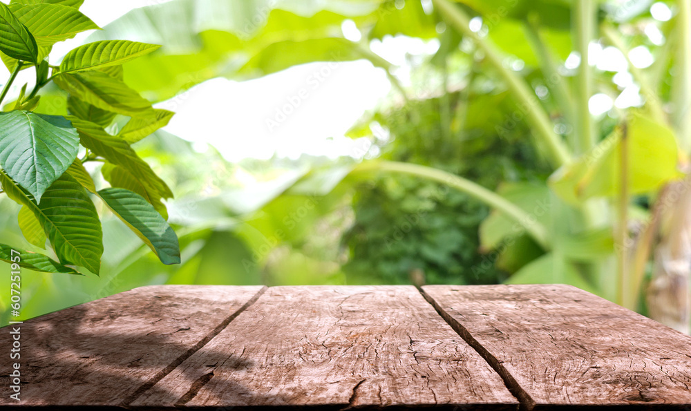 Empty wooden table in green garden background blurred, Space for product display montages. Empty table for product illustration, Beauty natural background.