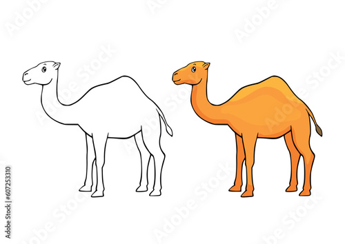 Coloring page with a cartoon cute camel. Line drawing and example painted colorful animal. Animal clipart with funny characters. Children education activity page and worksheet. 
