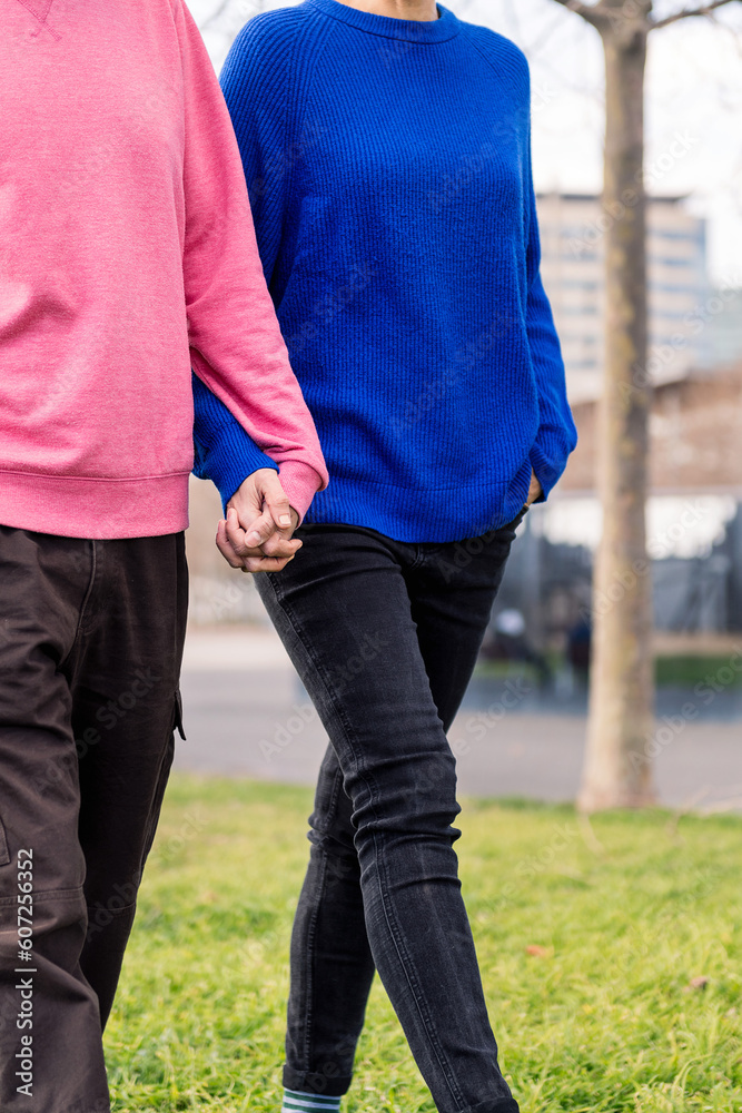 two unrecognizable people walking together holding hands in a park, concept of bonding and love, copy space for text two unrecognizable people walking together holding hands in a park, concept of bonding and love, copy space for text