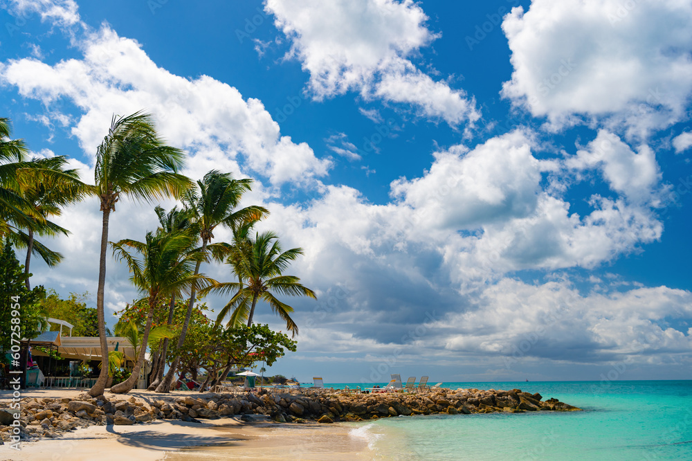 summer vacation at the beach with palm trees. summer beach vacation at seascape. summer vacation at the beach with palm trees. summer beach vacation at seascape.