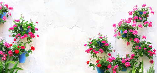 Horizontal banner with flowerpots with blossom geranium on stucco wall. Pot of pink and red geranium in blossom on white concrete wall. Traditional mediterranean wall decoration of a village house photo
