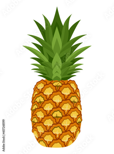Set of pineapple isolated on white background leaves vector element. Set of whole, cut in half, sliced on pieces 