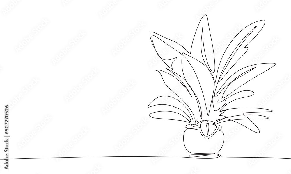 Fototapeta premium Houseplant in pot isolated on white background. Line art home plant. One line continuous vector illustration. 