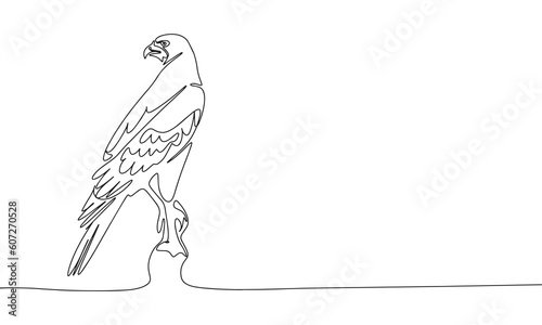The falcon is sitting isolated on white background. Line art falcon bird. One line continuous vector illustration. 